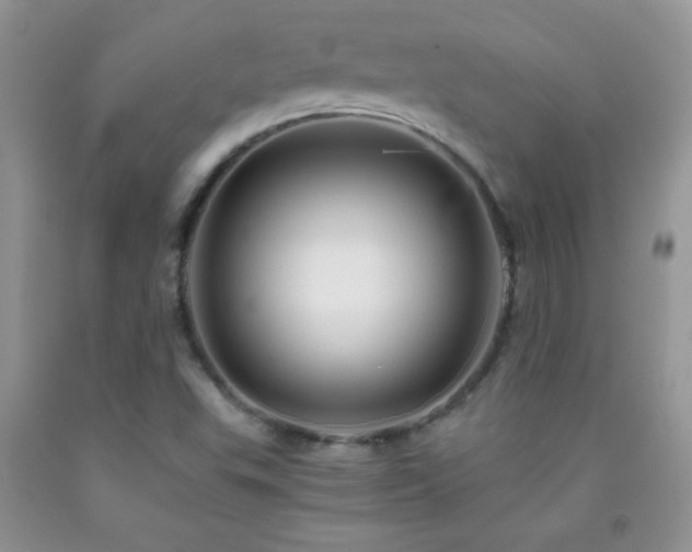 X0000092291503200709141249