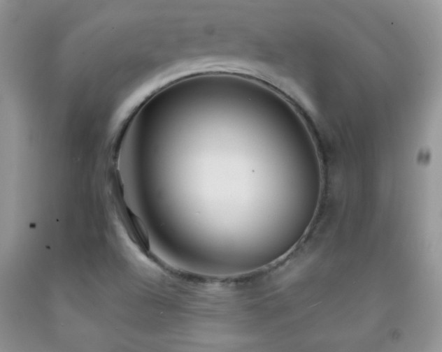 X0000092291504200709141249