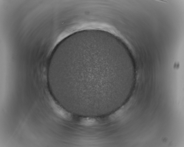 X0000092291505200709141249