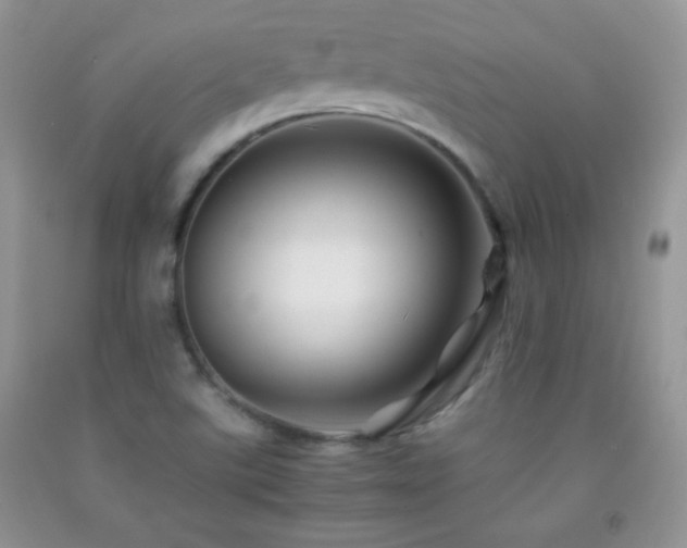 X0000092291507200709141249