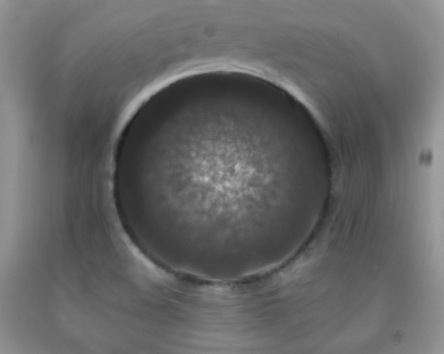 X0000092291508200709141249