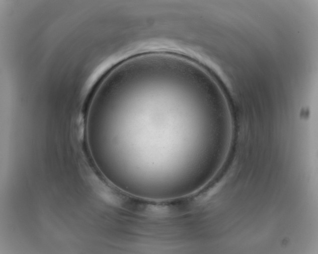 X0000092291509200709141249