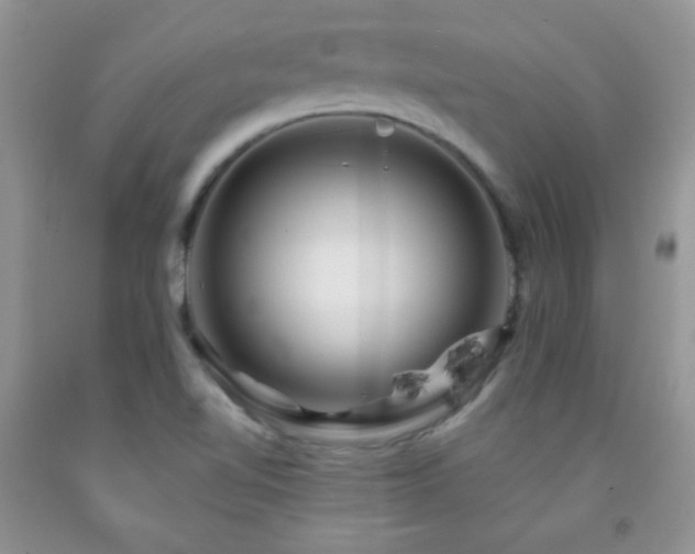 X0000092291510200709141249