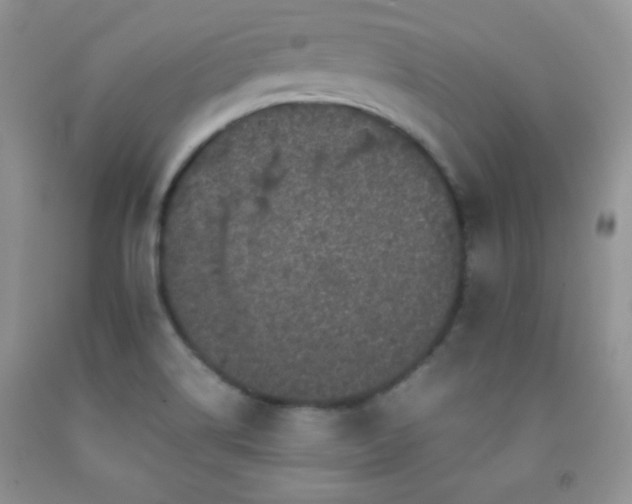X0000092291514200709141249