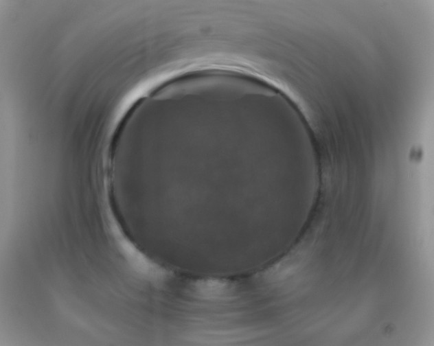 X0000092291515200709141249