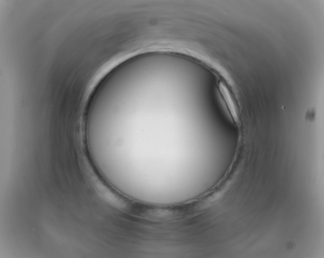 X0000092291517200709141249