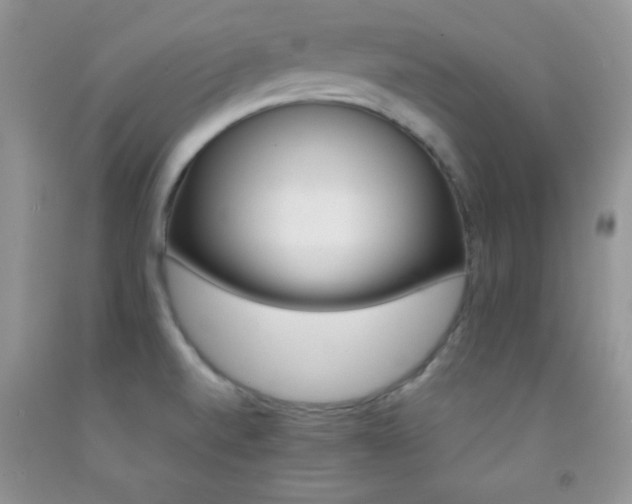X0000092291520200709141249