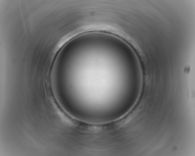 X0000092291521200709141249