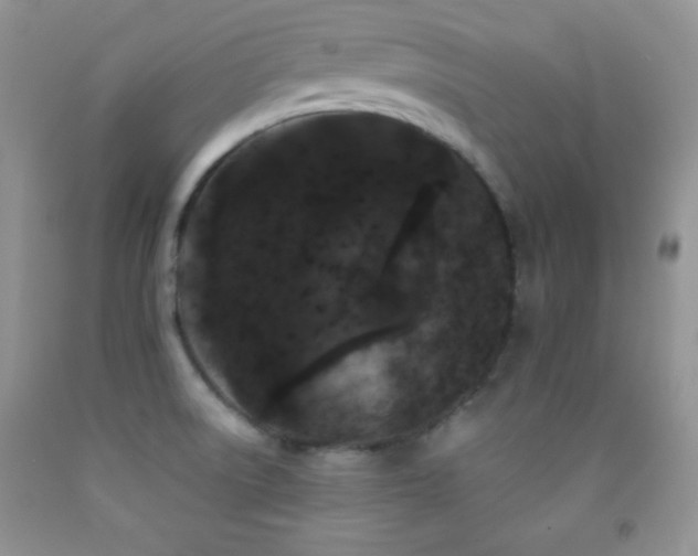 X0000092291522200709141249