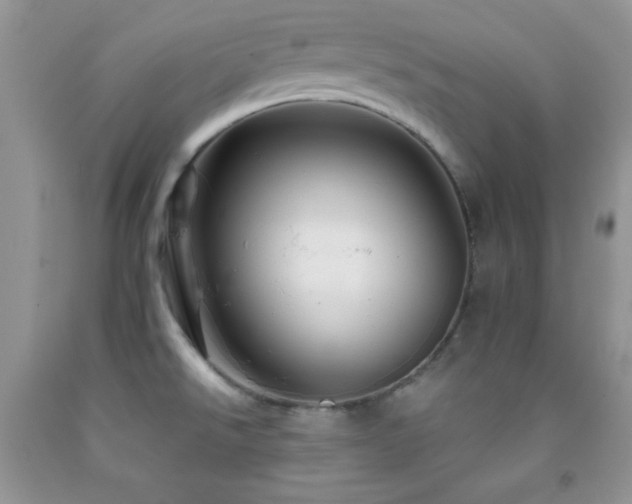 X0000092291526200709141249