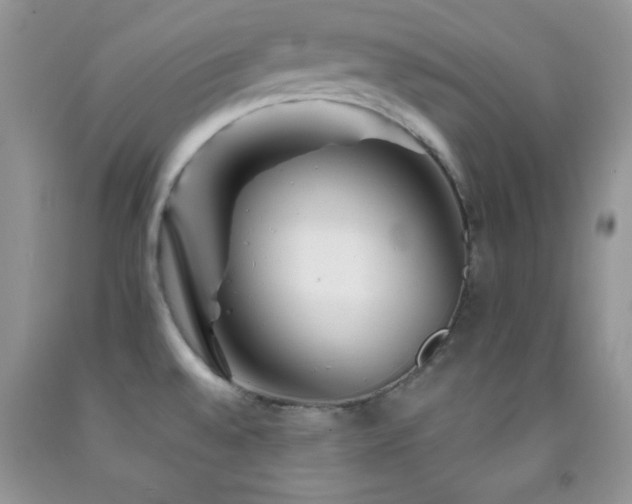 X0000092291528200709141249