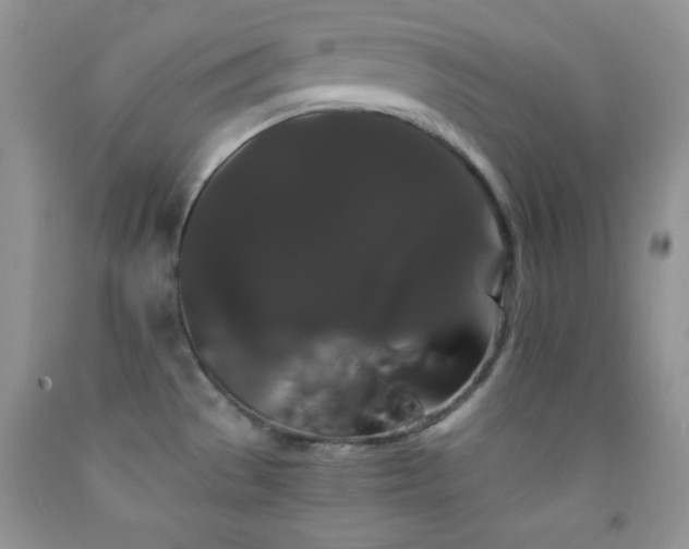 X0000092291529200709141249
