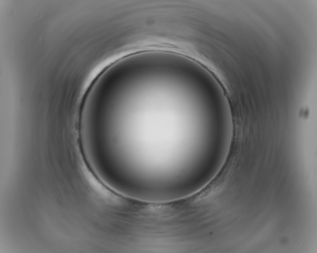 X0000092291531200709141249
