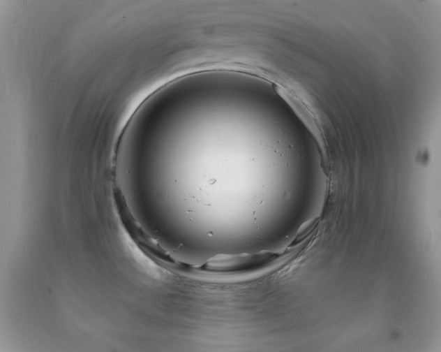 X0000092291532200709141249