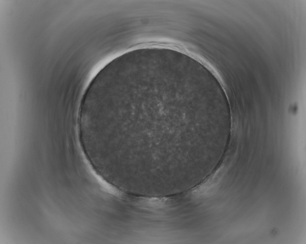 X0000092291533200709141249