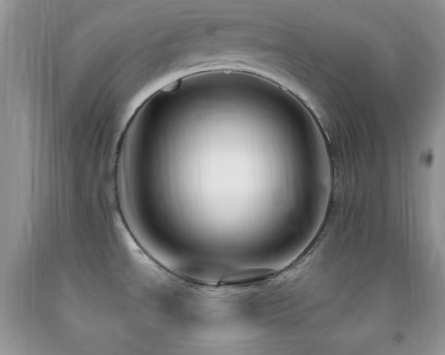 X0000092291534200709141249