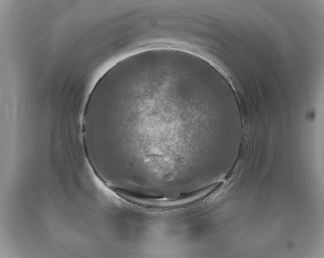 X0000092291535200709141250