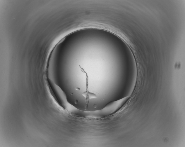 X0000092291536200709141250