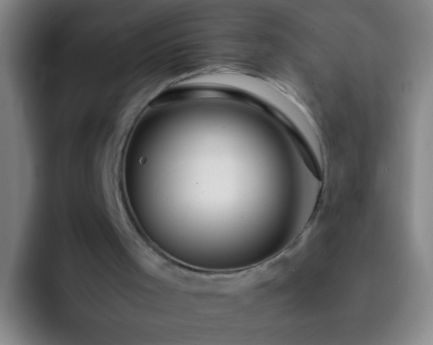 X0000092290001200709211221