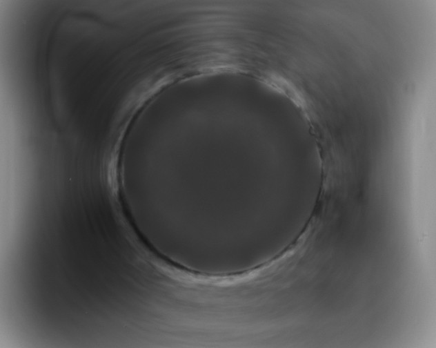 X0000092290002200709211221