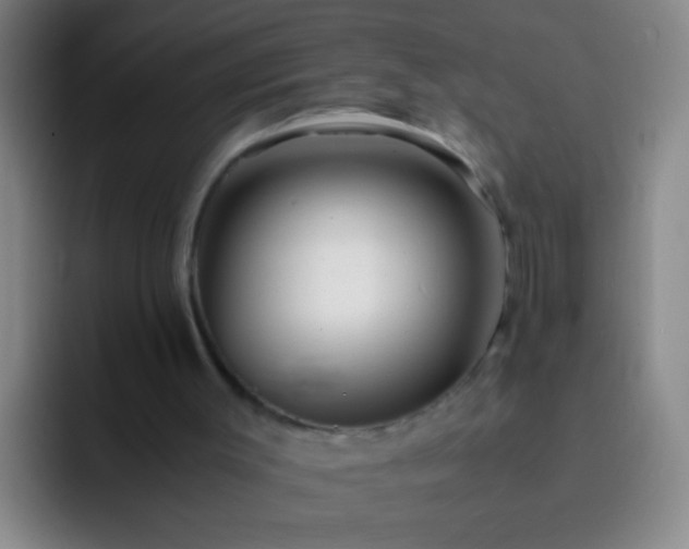 X0000092290003200709211221