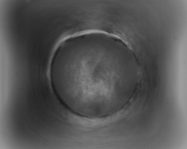 X0000092290006200709211221