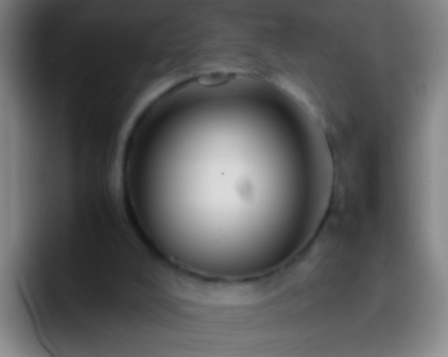 X0000092290008200709211221