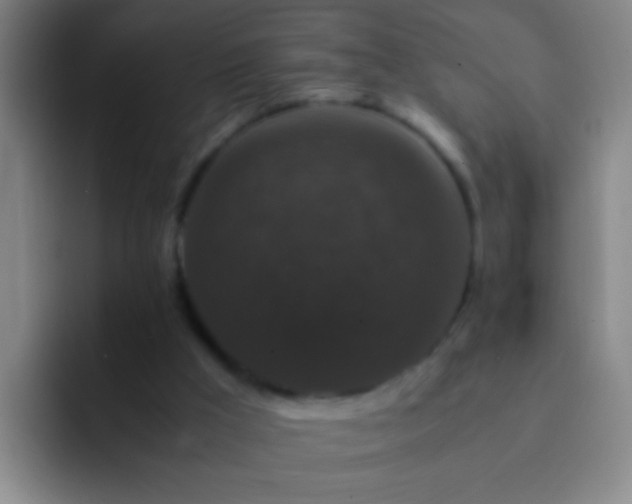 X0000092290009200709211221