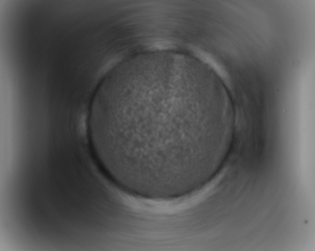 X0000092290010200709211221