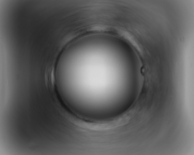 X0000092290011200709211221