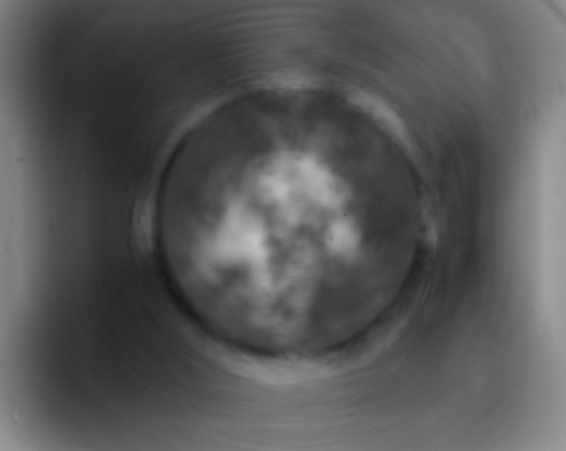 X0000092290012200709211221