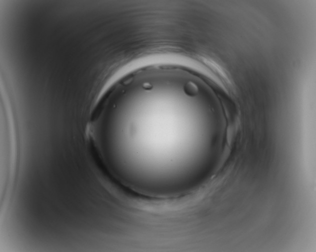 X0000092290013200709211221