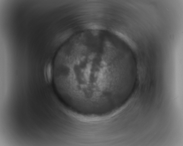 X0000092290014200709211221