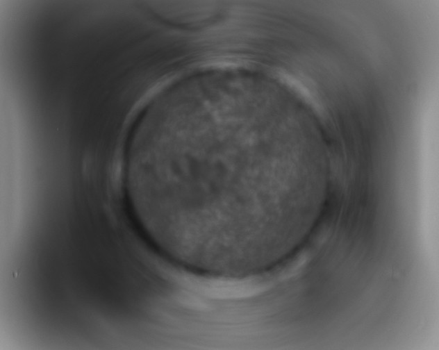 X0000092290016200709211221