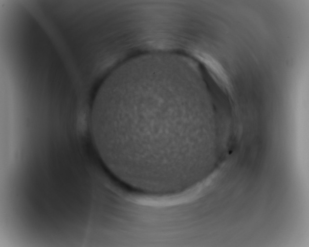 X0000092290017200709211221