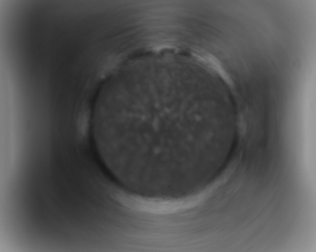 X0000092290018200709211221