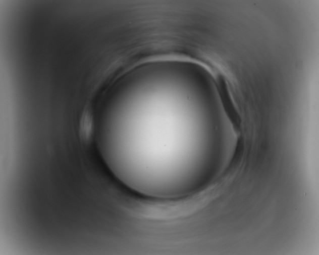 X0000092290021200709211221