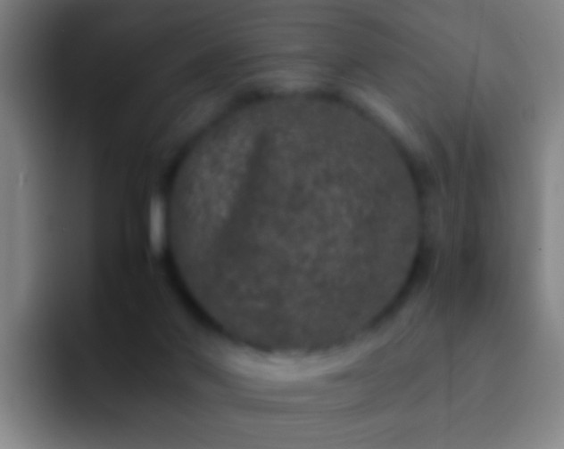 X0000092290022200709211221