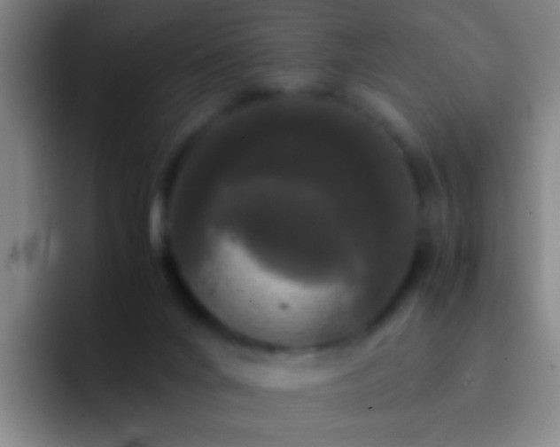 X0000092290024200709211221