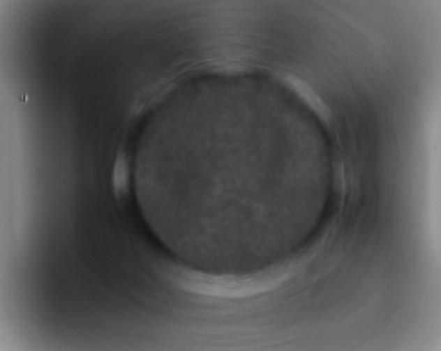 X0000092290026200709211221