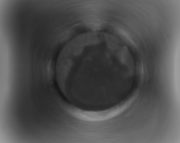 X0000092290030200709211221