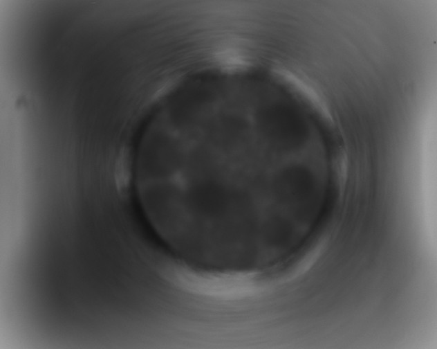 X0000092290032200709211221