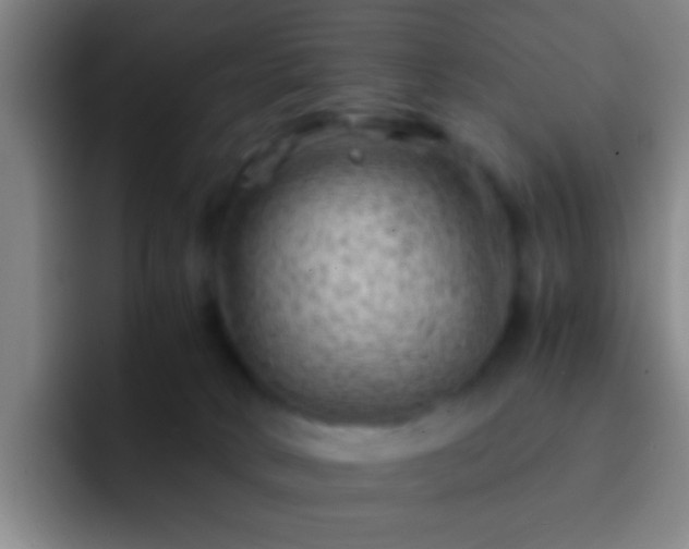 X0000092290034200709211221