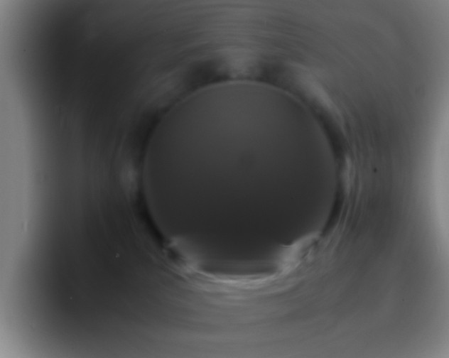 X0000092290039200709211221