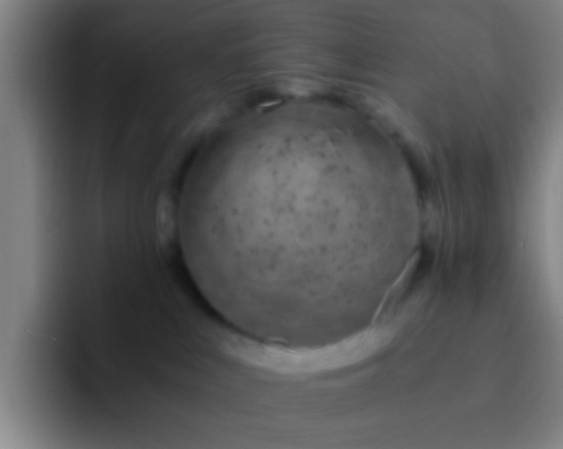 X0000092290043200709211221