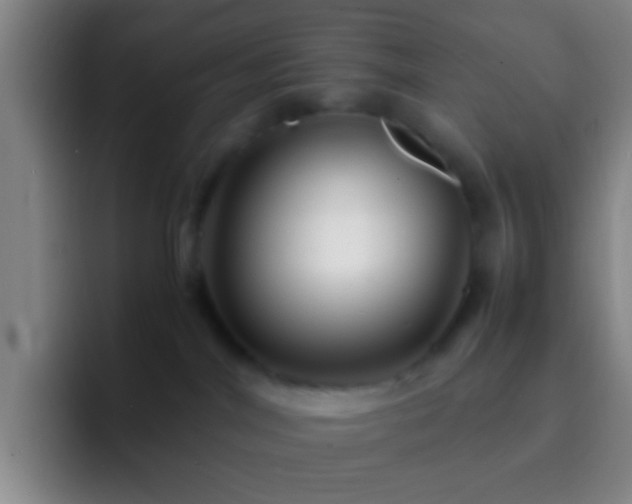 X0000092290044200709211221