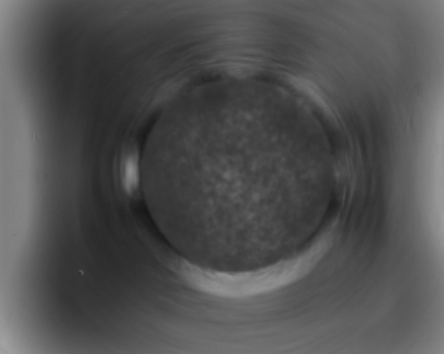 X0000092290046200709211221