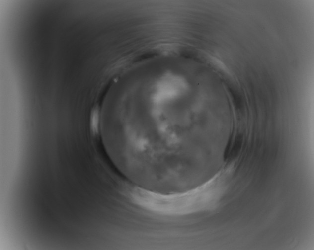 X0000092290047200709211221