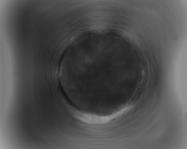 X0000092290048200709211221