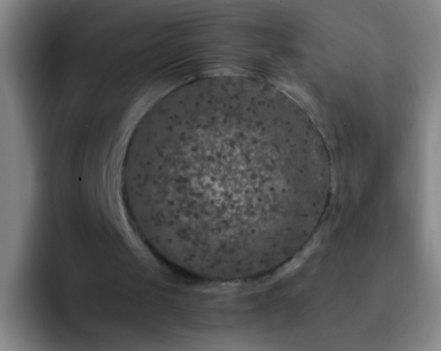 X0000092290049200709211220